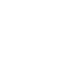 明星小学校徽
